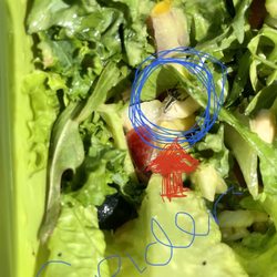 Salata - Spider in small seafood mix salad