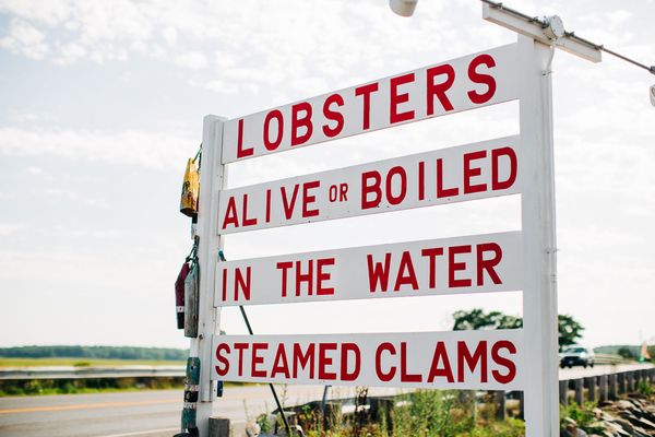 Brown's Lobster Pound by null