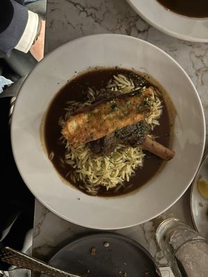 Salt & Stone by null