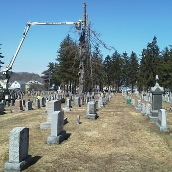 Hunter Tree Service - Tree Services Near Me - Holyoke, Massachusetts Hunter Tree Service - Tree Services Near Me - Holyoke, Massachusetts