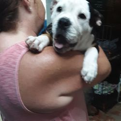 Sandi's Pet Grooming - Sweet baby enjoying her day at sandies!