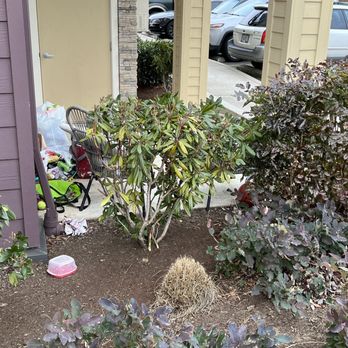 Sygnii - A well kept patio with lovely trash spilling out and blowing into other peoples patios - Apartments Near Me - Tigard, Oregon
