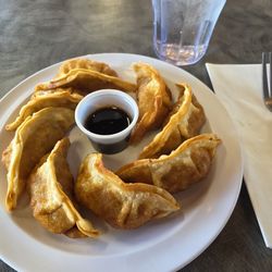 Teriyaki Guys - Tasty Pot Stickers.