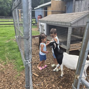 Papa's Farm and Mini Friends - Petting Zoos Near Me - Howell, New Jersey