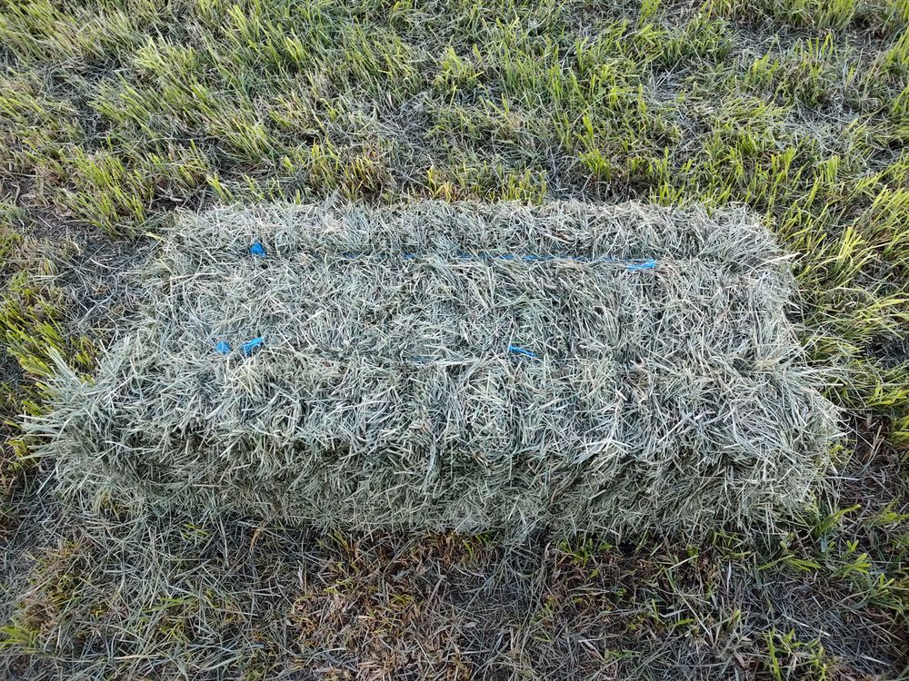 TRIPLE C TREE FARM Updated September 2024 27314 36th Ave NW