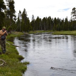 Fish the Fly Guide Service