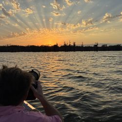 Louisiana Tours - Lake Martin, Breaux Bridge Louisiana