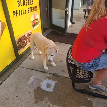 Tasty Bite - Dog bowl provided;) - Sandwiches Near Me - Minooka, Illinois