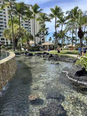 Marriott's Ko Olina Beach Club by null
