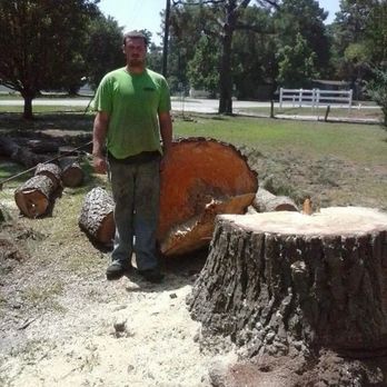 A Limb to Trim - Owner standing beside a huge Pine tree. - Tree Services Near Me