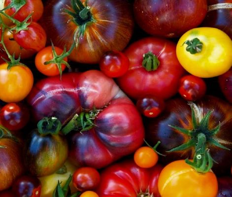 Eckerton Hill Farm by null