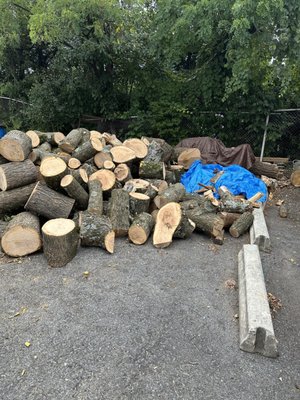 Pioneer Pit Beef by null