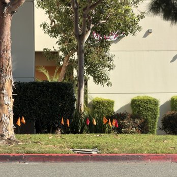 Chkn'n Wafflez - Cannabis Dispensaries Near Me - Corona, California