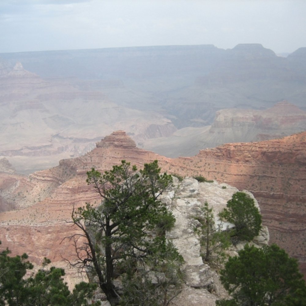 Rarkar Transportation Services - Transportation Near Me - Las Vegas, Nevada