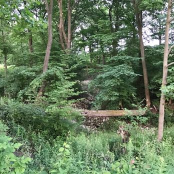 Fort Sheridan Forest Preserve - If a tree falls in the forest... - Parks Near Me - Lake Forest, Illinois Fort Sheridan Forest Preserve - If a tree falls in the forest... - Parks Near Me - Lake Forest, Illinois