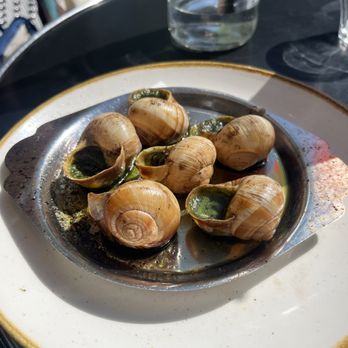 La Mascotte - Brasseries Near Me - Paris, 75 La Mascotte - Brasseries Near Me - Paris, 75