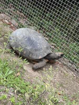 Alabama Gulf Coast Zoo by null