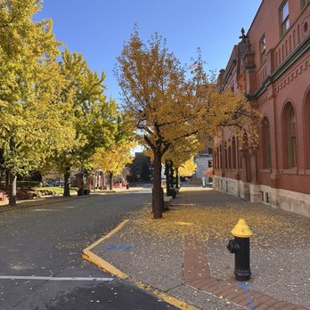 Budweiser Brewery Experience - Looking down the street from one building to another - Beer Tours Near Me - Saint Louis, Missouri