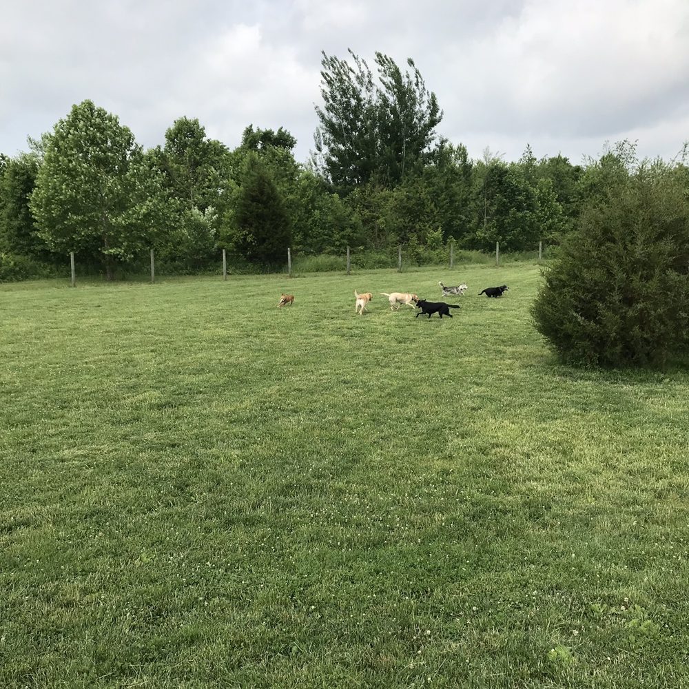 Heritage Trail Dog Park - Dog Parks Near Me - Hilliard, Ohio