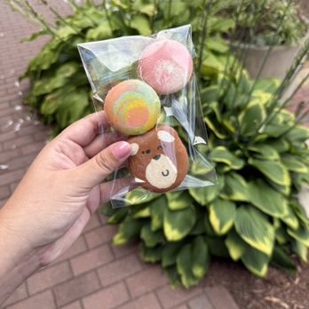 Chiboo Bakery - Macarons Near Me - Reston, Virginia