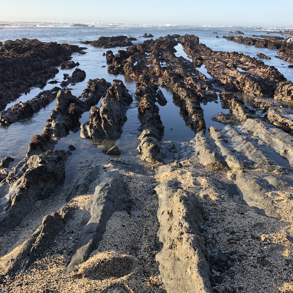 Fitzgerald Marine Reserve - Parks Near Me - Moss Beach, California