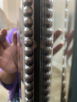 EL DORADO FURNITURE - 22 Photos & 41 Reviews - Furniture Stores - 1901