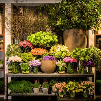 Winston Flowers - Mark Schafer Photography - Florists Near Me - Wellesley, Massachusetts Winston Flowers - Mark Schafer Photography - Florists Near Me - Wellesley, Massachusetts