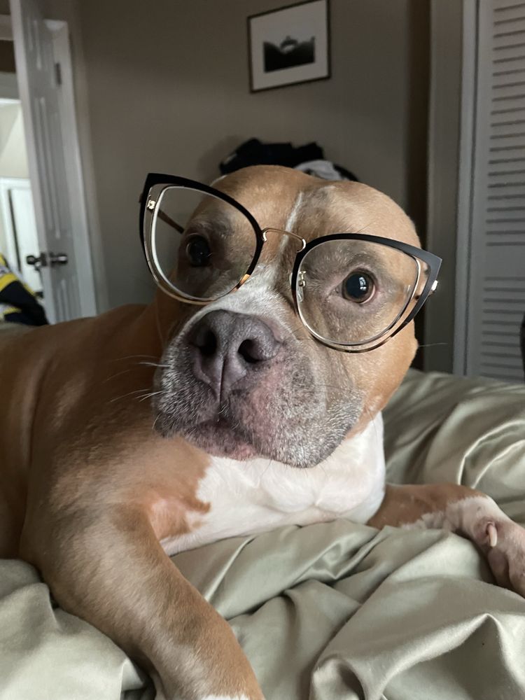 PARK VETERINARY GROUP Updated September 2024 230 Chestnut St