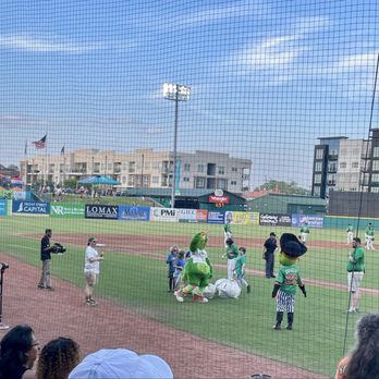 Greensboro Grasshoppers - Fun games between innings - Professional Sports Teams Near Me - Greensboro, North Carolina