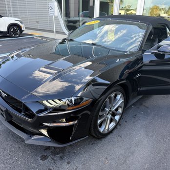 Audi Sarasota - Car Dealers Near Me - Sarasota, Florida Audi Sarasota - Car Dealers Near Me - Sarasota, Florida