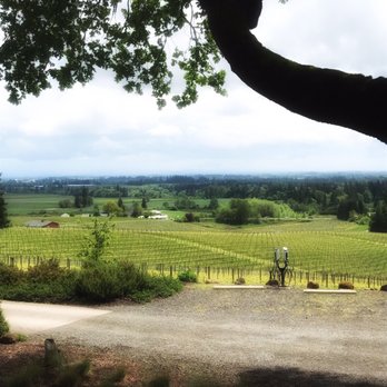 Sokol Blosser Winery - Beautiful countryside - Wineries Near Me - Dayton, Oregon