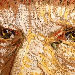 "The sadness will last forever." ― Vincent van Gogh "The sadness will last forever." ― Vincent van Gogh