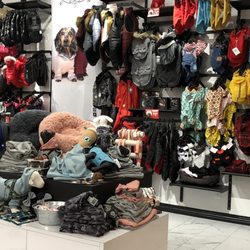 Chien Mondain - Coin vêtements