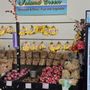 Photo of Island Green Produce