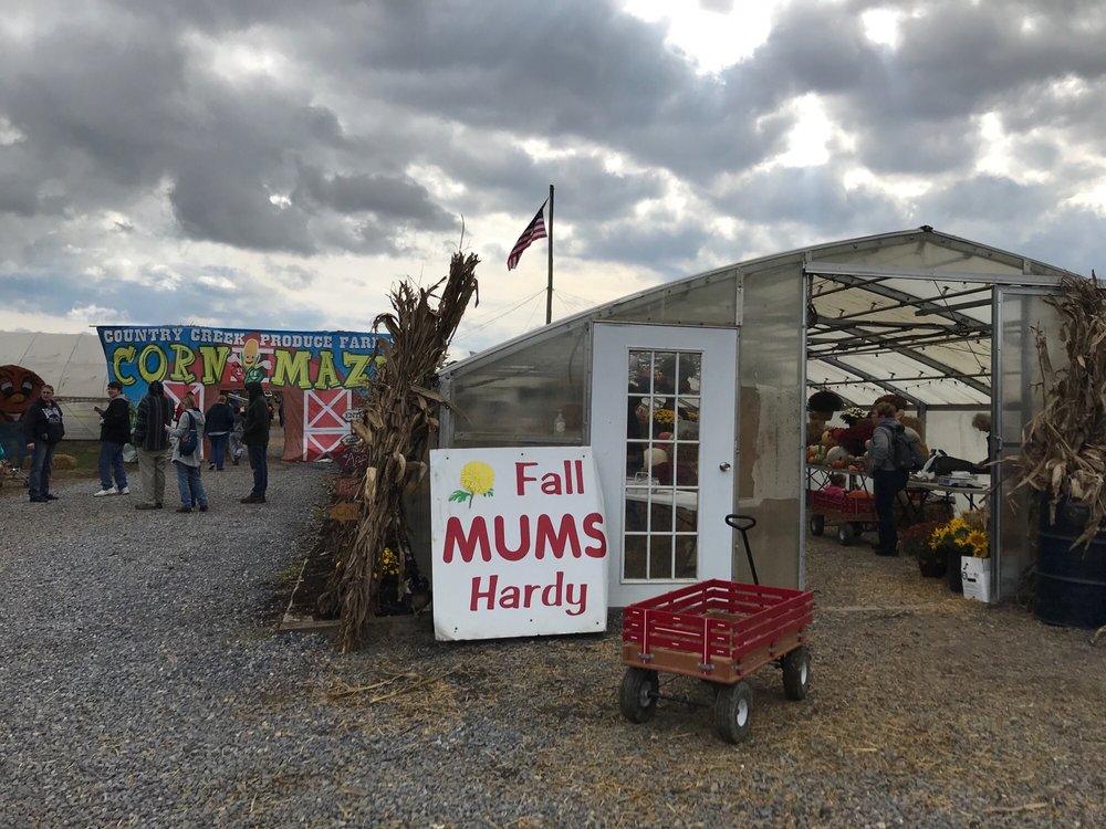 COUNTRY CREEK PRODUCE FARM Updated September 2024 3746 Etter Rd, Chambersburg, Pennsylvania