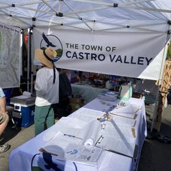 Castro Valley Fall Festival