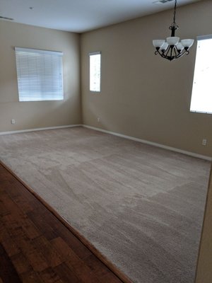 Carpet Installation - Carpet Installation Carpet Installation - Carpet Installation