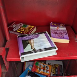 Little Free Library - Little Free Library, Wilson