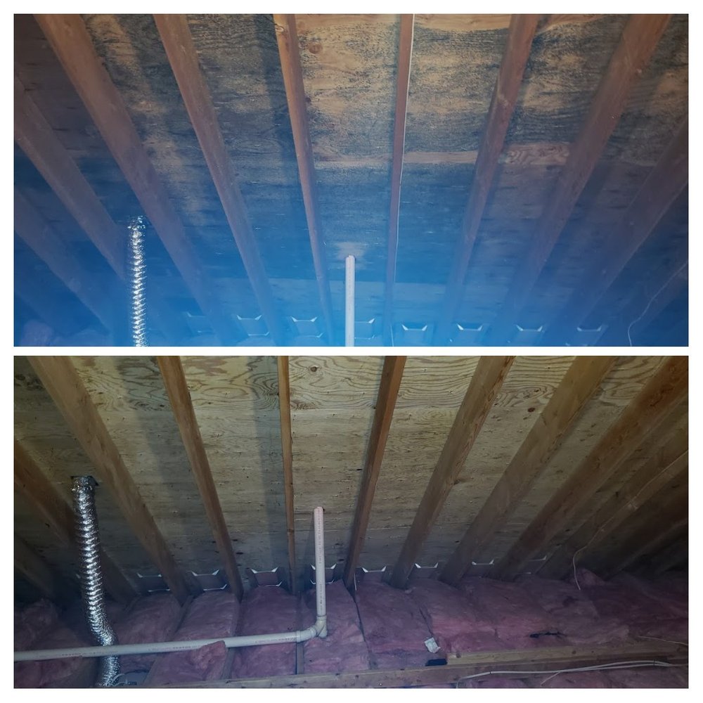 Green Home Solutions - mold inspector in Washington, NJ