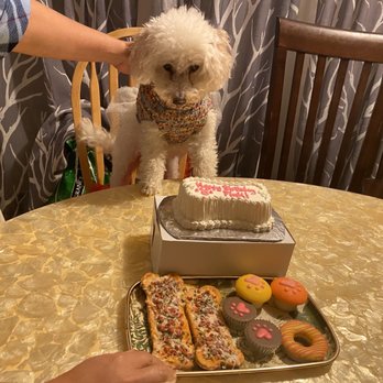 Redondo Dog - Pet Services Near Me - Carson, California