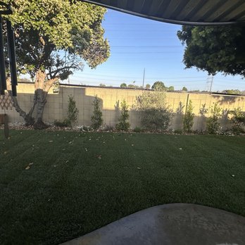 Greenplace - Landscaping Near Me