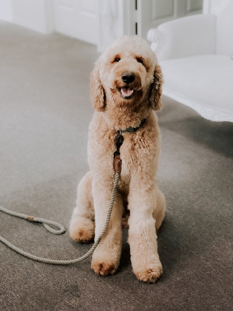 THE GROOMING COTTAGE Updated September 2024 12 Photos 12827