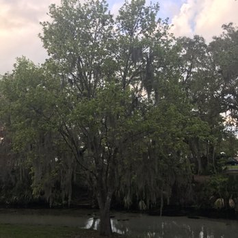 Wekiva Falls RV Resort - Boating Near Me - Sorrento, Florida Wekiva Falls RV Resort - Boating Near Me - Sorrento, Florida