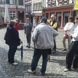 Stadtführungen Mainz nah und fern