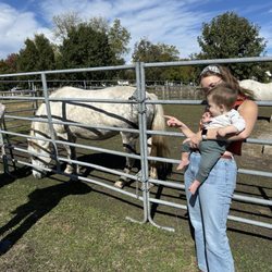 Danada House - Horses on the grounds