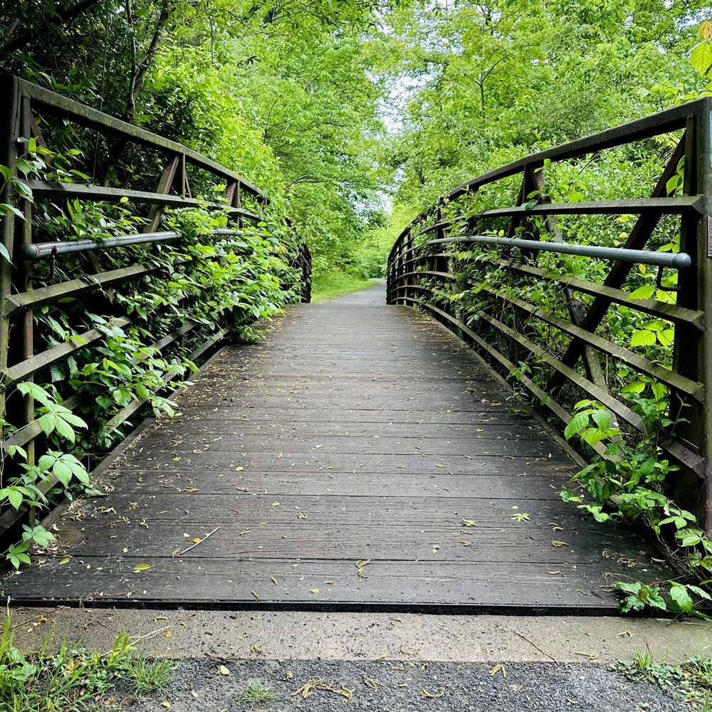 Bles Park - Bridge - Parks Near Me - Ashburn, Virginia Bles Park - Bridge - Parks Near Me - Ashburn, Virginia