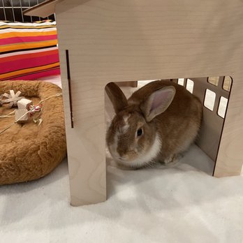 Kribs for Kritters - Pet Adoption Near Me