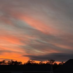 Donna Knauer - Avenue Realty - Sunset Milton