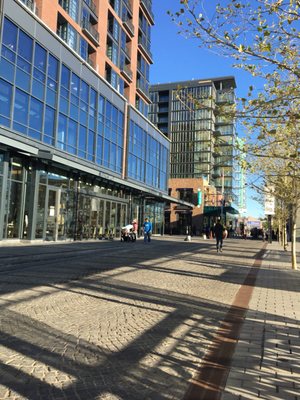 Capital Yacht Club by null