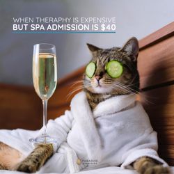 Paradise Spa & Sauna